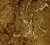 Noce Travertine